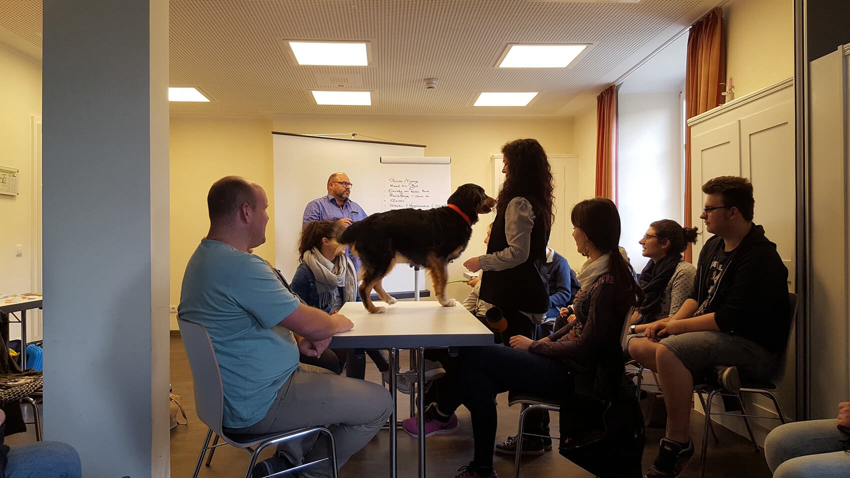 Ein Hund steht während einer Seminareinheit auf einem Tisch und wird umringt von Freiwilligen, die dem Referenten zuhören