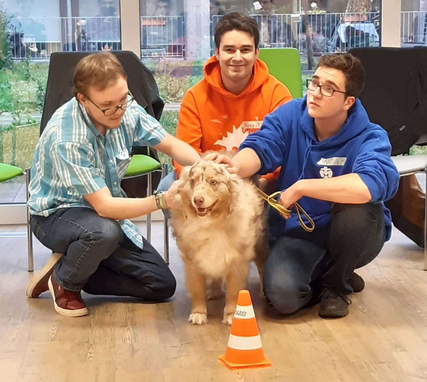 drei Freiwillige mit einem Therapiehund