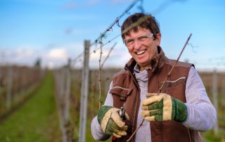 Martin Fox blickt lächelnd beim Schneiden der Weinreben in die Kamera